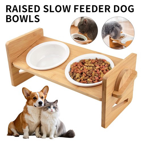 Double bowl dog cat feeder - bowl,