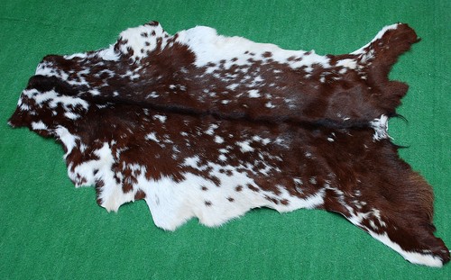 Luxury goat hide rug hair - goat,