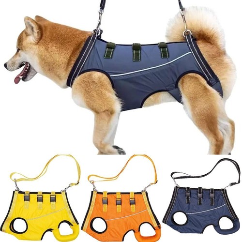 Dog front back lift - dog, front&back
