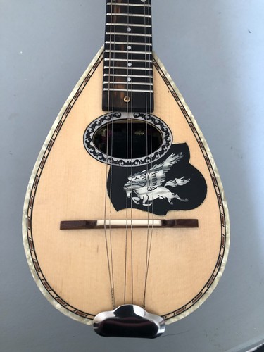 Professional greek bouzouki - professional,