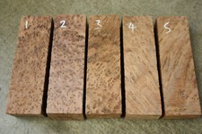 THUYA BURL tool handle /