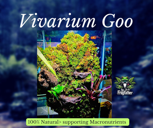 Bioactive terrarium vivarium - terrarium,