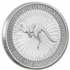 1oz solid 99.99% silver coin