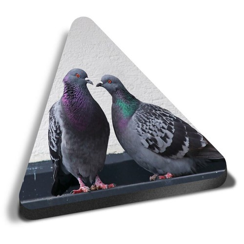 Triangle mdf magnets flock - triangle,