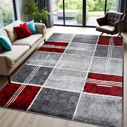 Modern large living - living, rugs