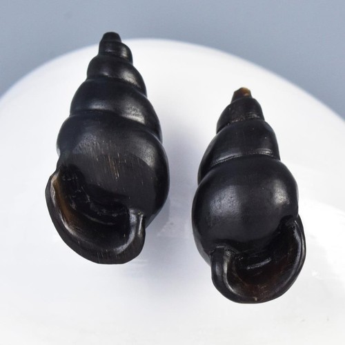 Snail shell shaped earring - shaped,