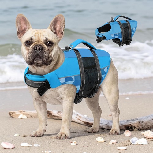 Dog life jacket - dog, pet