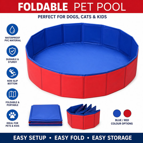 Pet bath dog swimming - dog,