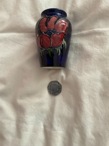 Small moorcroft anemone - small,