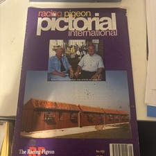 Racing Pigeon pictorial International