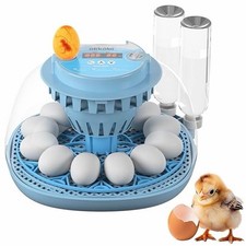 12 Egg Incubator Digital