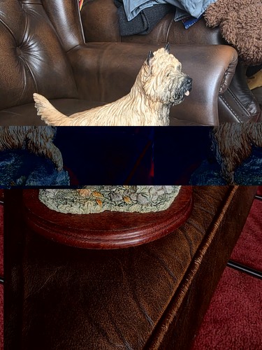 Border fine arts cairn - , terrier