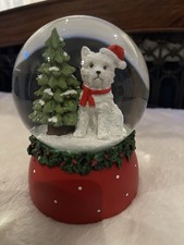 Rare West Highland Terrier