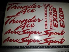 Thunderace decal sticker - thunderace,