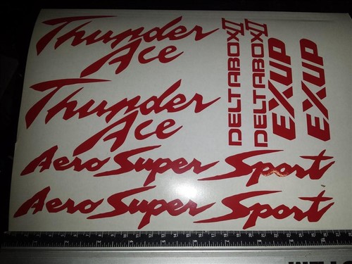 Thunderace decal sticker - thunderace,