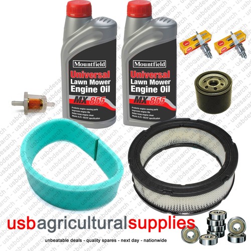 Briggs stratton service - &,