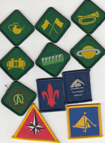 Boy scout badges ext - badges,
