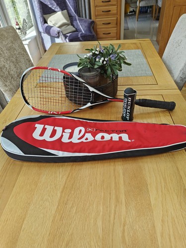 Wilson factor tour squash - wilson,