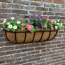 Archer Wall Basket Flower