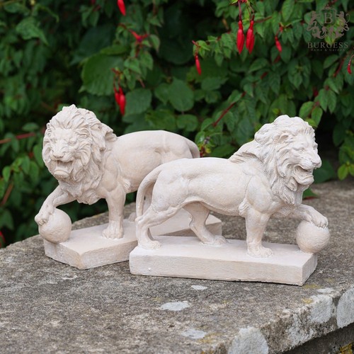 Pair large lion statues - of, |