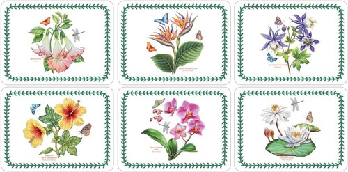 Pimpernel exotic botanic - pimpernel,