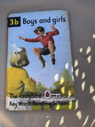 Ladybird key words reading - key,