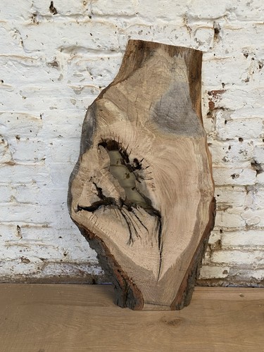 Waney edge live oak - edge, tiger