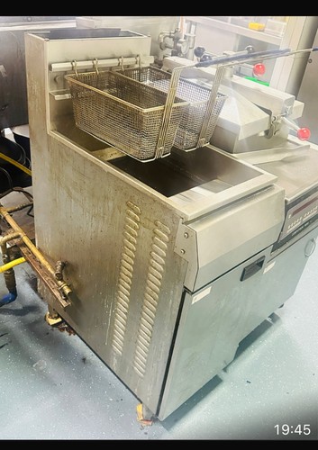Commercial deep fryer - commercial,