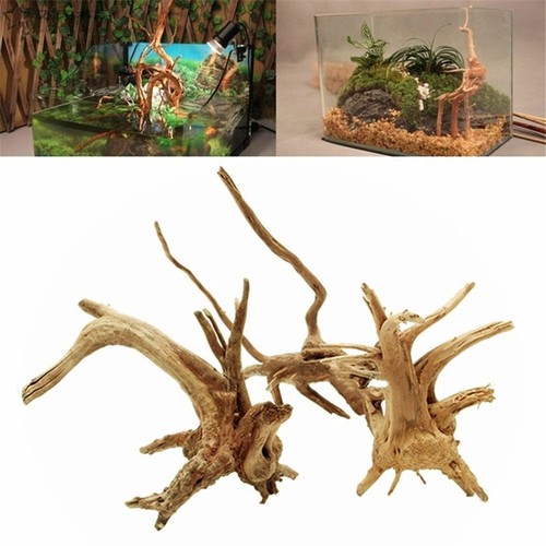 Aquarium natural tree trunk - aquarium,