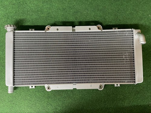 Genuine quadzilla rl500 buggy - quadzilla,