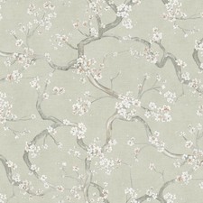 Green Floral Wallpaper Cherry