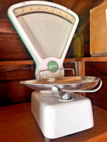 Avery vintage white green - avery,