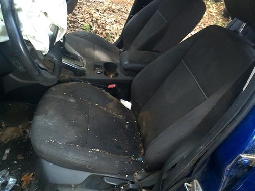 Driver front seat bucket cloth - driver,