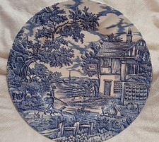 Myott blue and white 10"