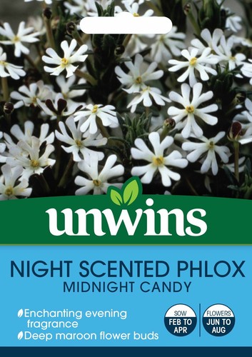 Unwins flower night - flower,