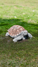 Latex and Fibreglass Mould Large Tortoise