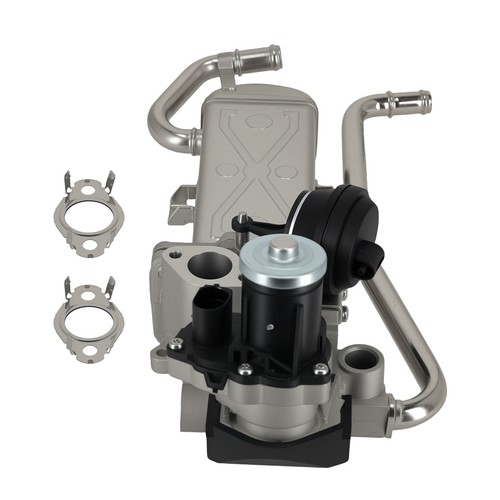 Egr valve gasket for - w/,
