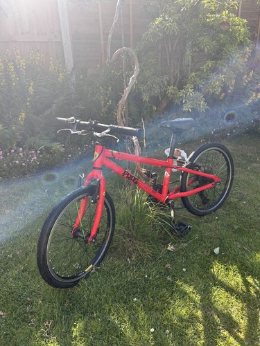 Kids frog bicyle red - frog,