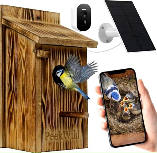Smart bird box with - camera, 5mp