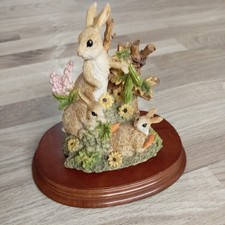 1991 ‘THE LEONARDO COLLECTION’ NATURE STUDIES - RABBITS IN NATURE