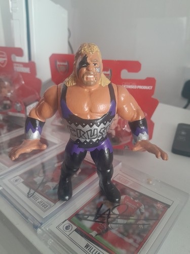 Wwe wwf hasbro - wwe, custom