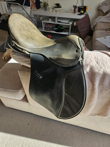 Gfs saddle medium to - saddle,