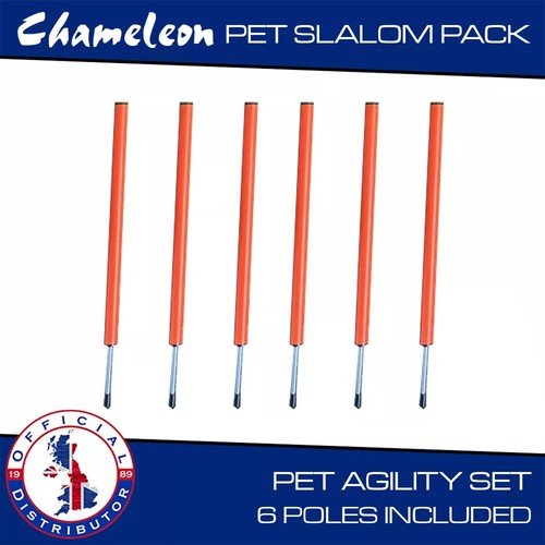 Pet agility slalom - agility, dog