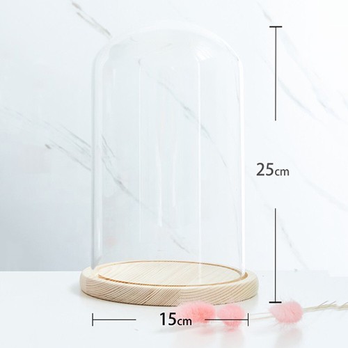 Christmas glass dome display - christmas,