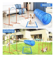 Dog Agility Training Equipment