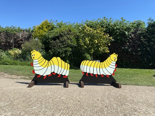 Horse pony caterpillar show - pony,