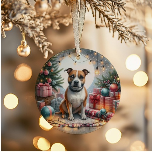 Staffordshire bull terrier - bull,
