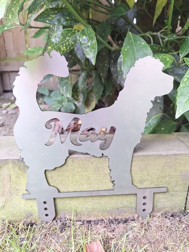 Labradoodle may silhouette - 'may',