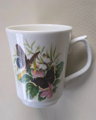 Duchess fine bone - bone, china