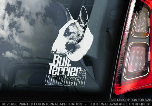 English bull terrier car - english,